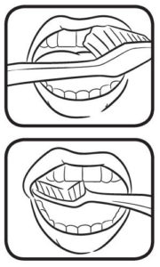 tooth brushing diagram