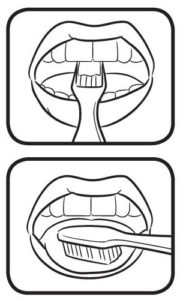 tooth brushing diagram